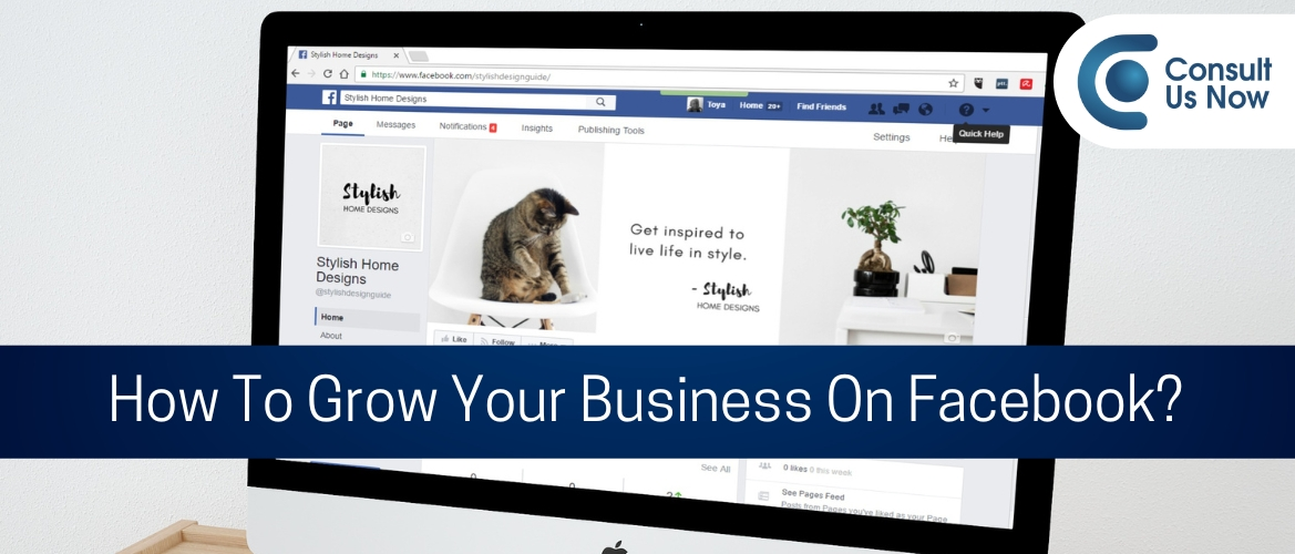 How To Grow Your Business On Facebook?