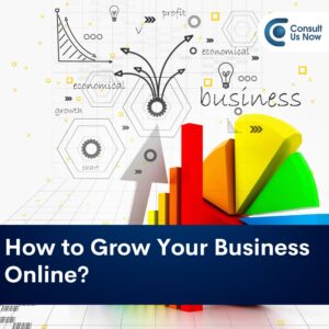 Read more about the article How to grow your business online?