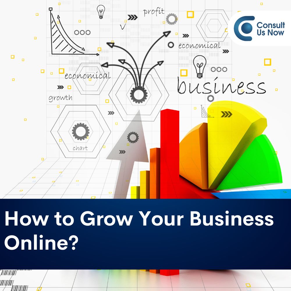 You are currently viewing How to grow your business online?