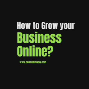 Read more about the article How to grow your business online