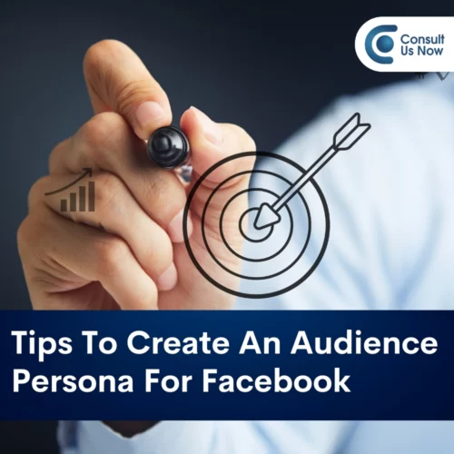 Tips to create an audience persona on Facebook