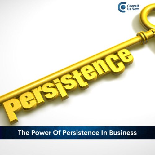The Power Of Persistence in Business