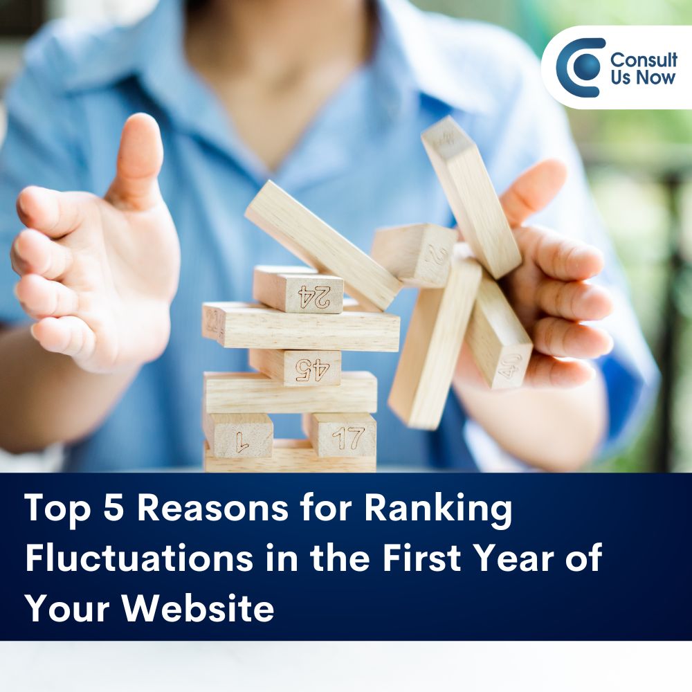 You are currently viewing Top 5 Reasons for Ranking Fluctuations in the First Year of Your Website