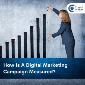 Read more about the article How is a Digital Marketing Campaign Measured?