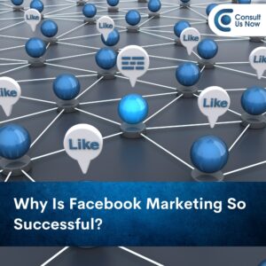 Read more about the article Why Is Facebook Marketing So Successful?