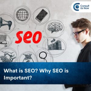 Read more about the article What is SEO? Why SEO is Important?