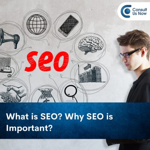 What is SEO? Why SEO is Important?